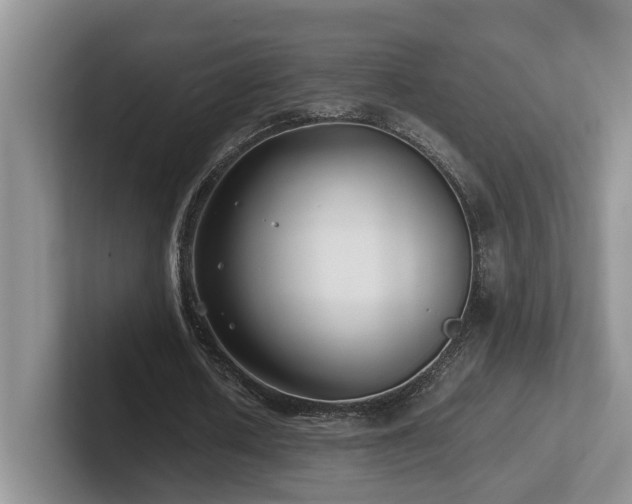 X0000102510626200808081411