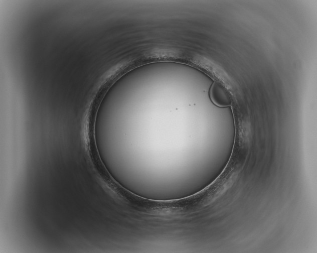 X0000102510629200808081411