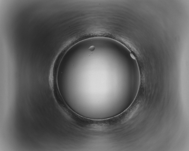 X0000102510630200808081411