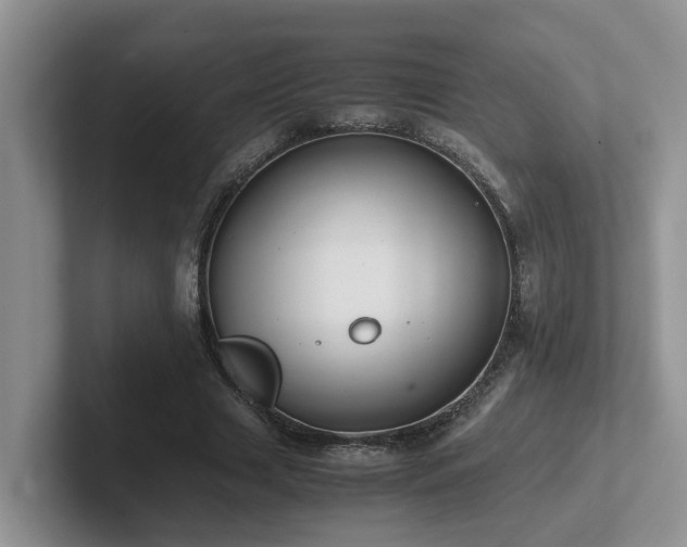 X0000102510633200808081411