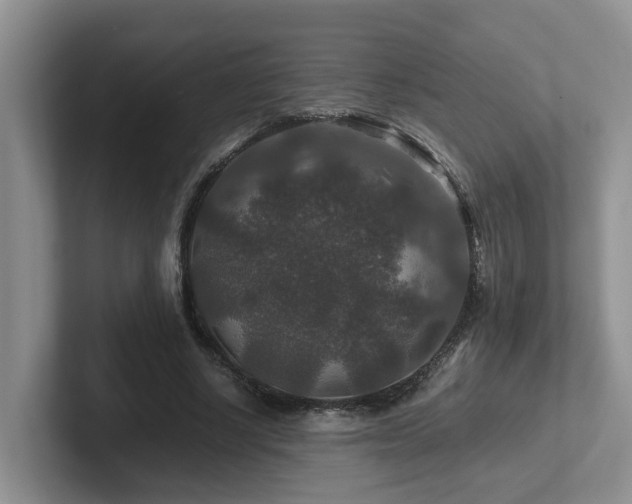 X0000102510634200808081411