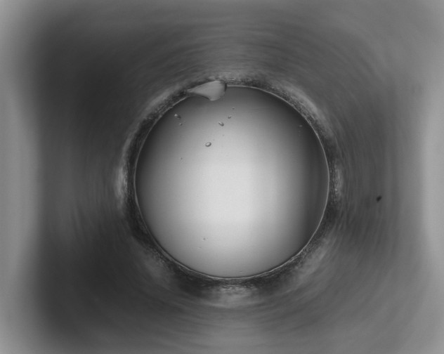 X0000102510636200808081411