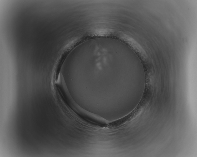 X0000102510640200808081411