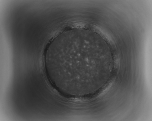 X0000102510641200808081411