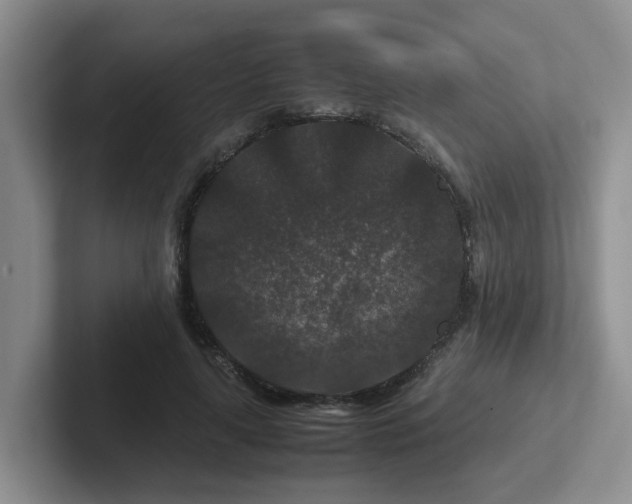 X0000102510643200808081411