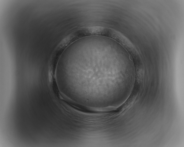 X0000102510644200808081411