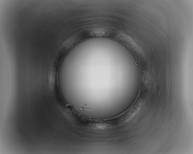 X0000102510645200808081411