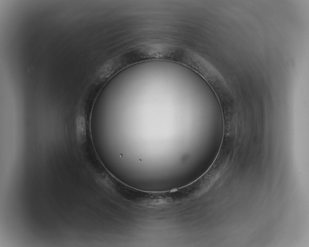 X0000102510646200808081411