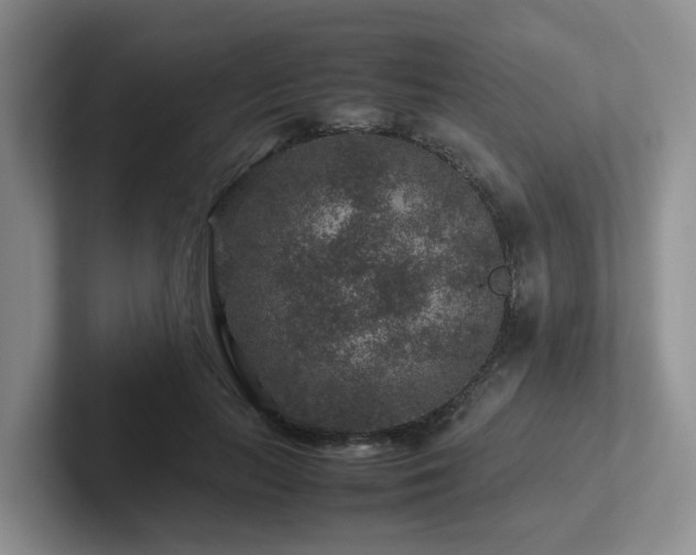 X0000102510647200808081411