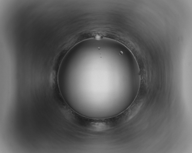 X0000102510649200808081411