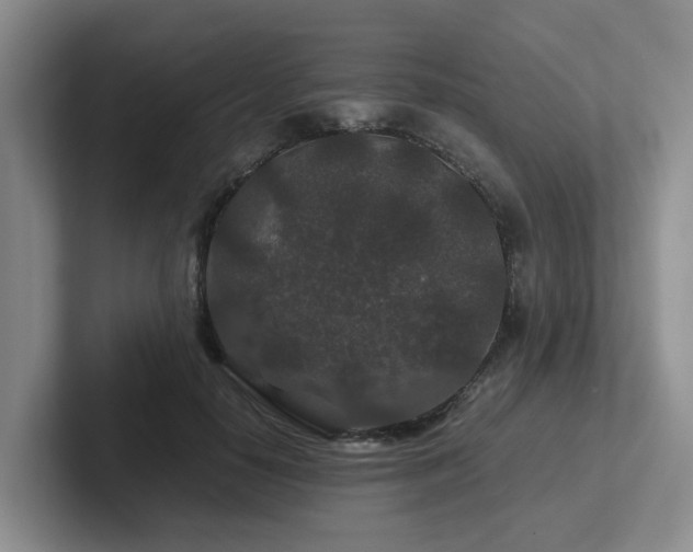 X0000102510650200808081411