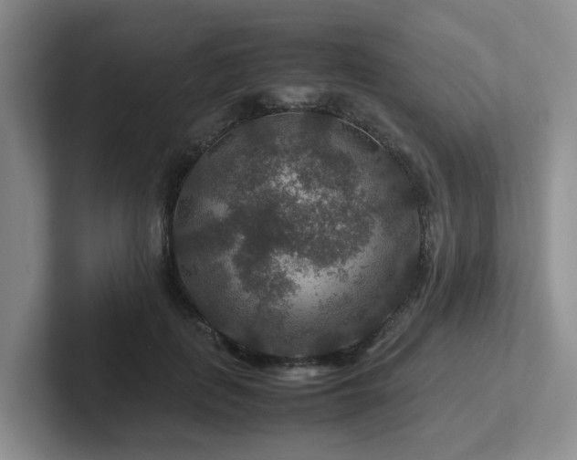 X0000102510651200808081411
