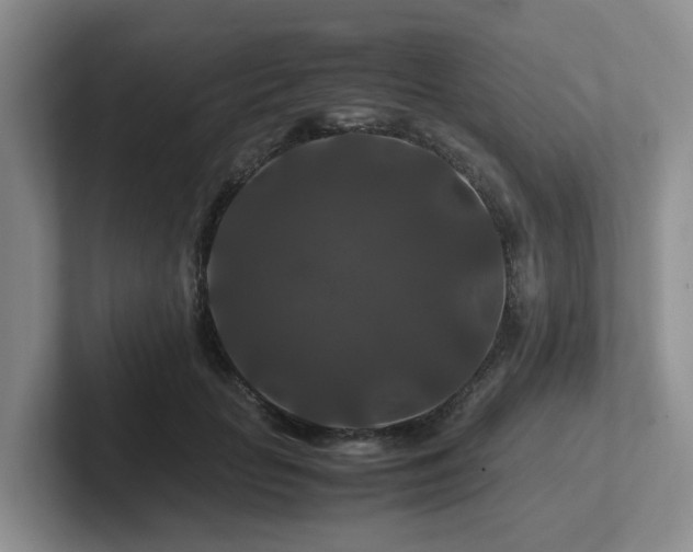 X0000102510653200808081411