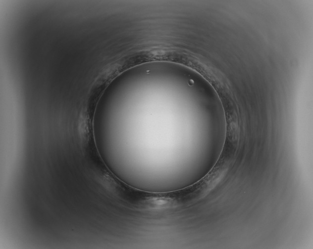 X0000102510654200808081411