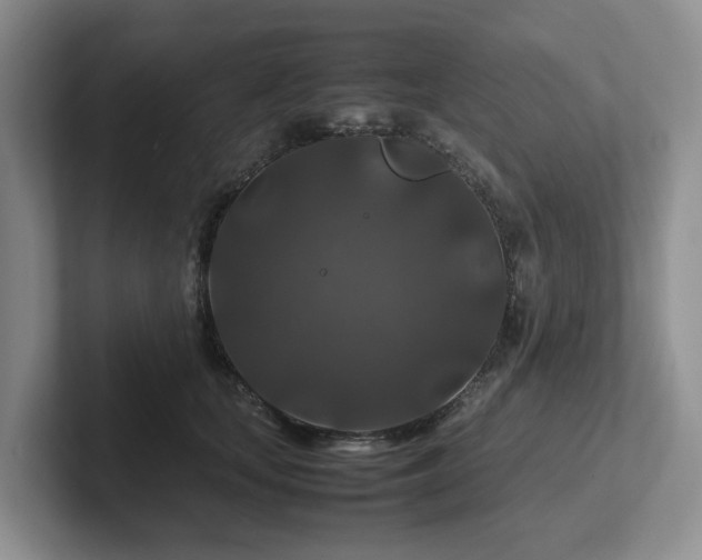 X0000102510659200808081411