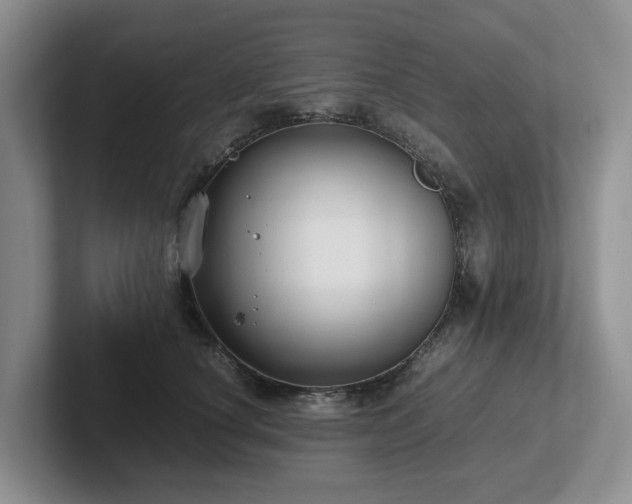 X0000102510660200808081411