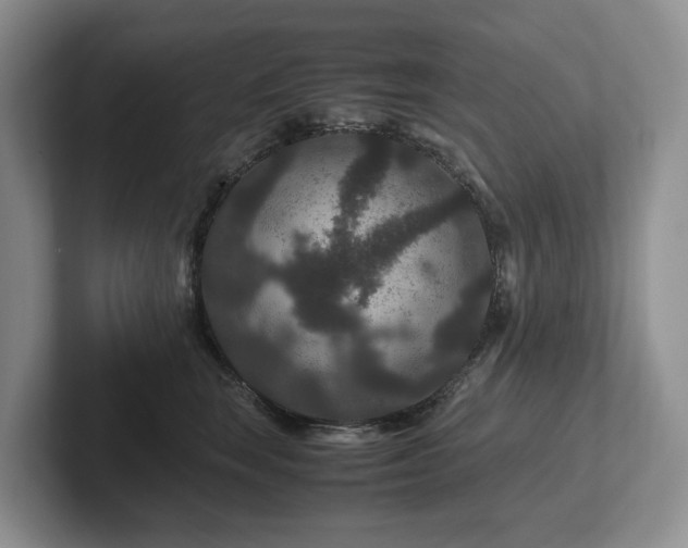 X0000102510663200808081411