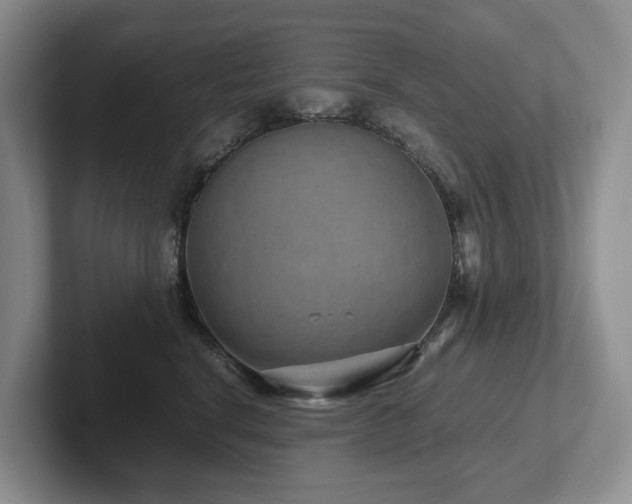 X0000102510664200808081411