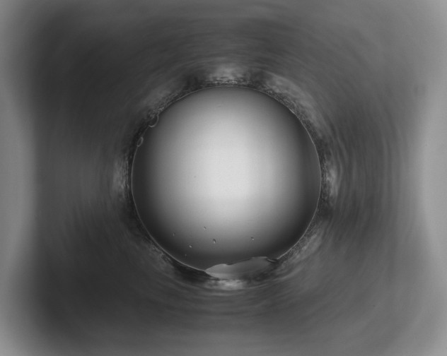 X0000102510665200808081411