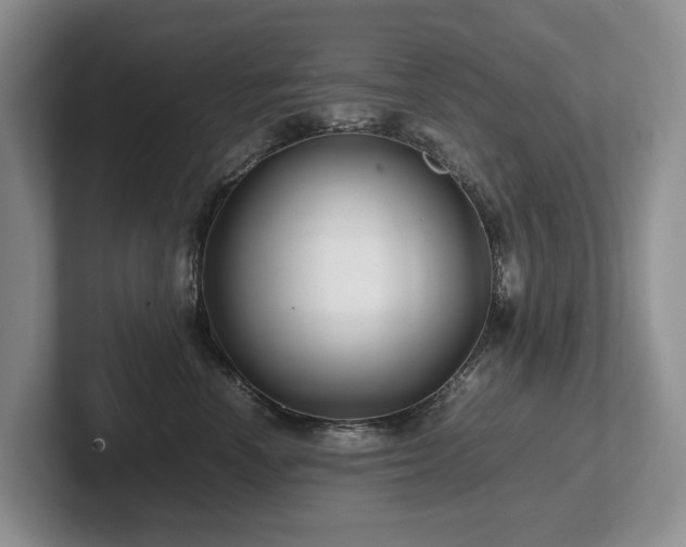 X0000102510666200808081411
