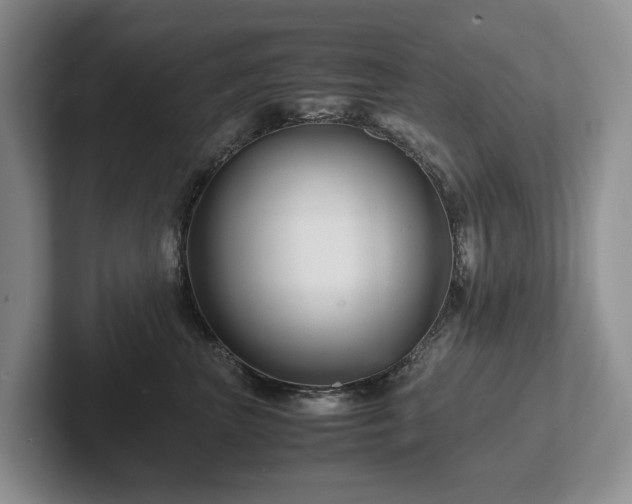 X0000102510667200808081411
