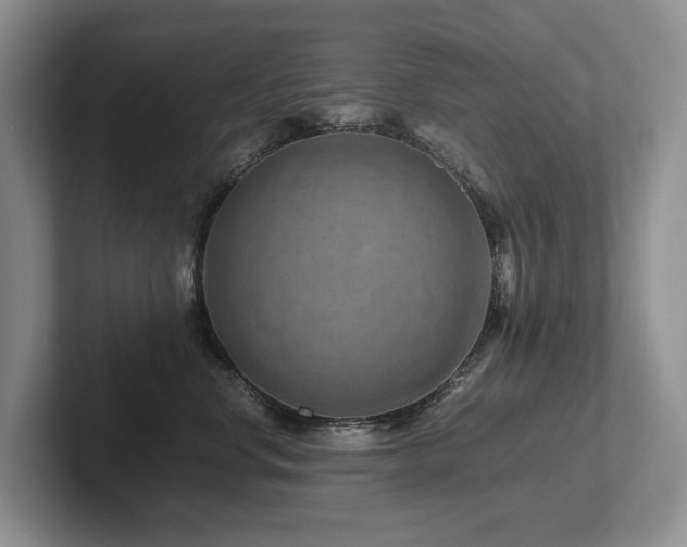 X0000102510668200808081411