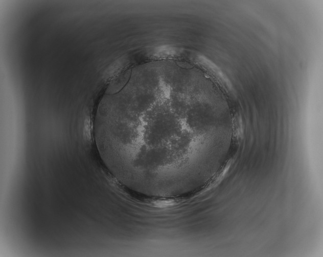 X0000102510669200808081411