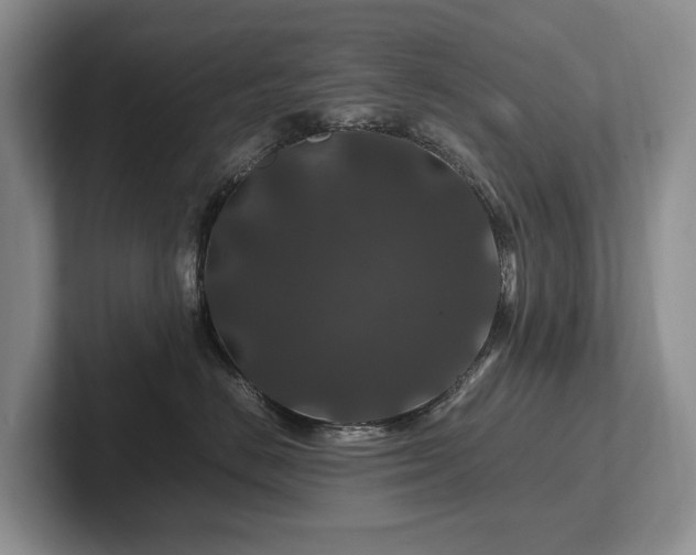 X0000102510670200808081411