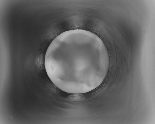 X0000102510672200808081411