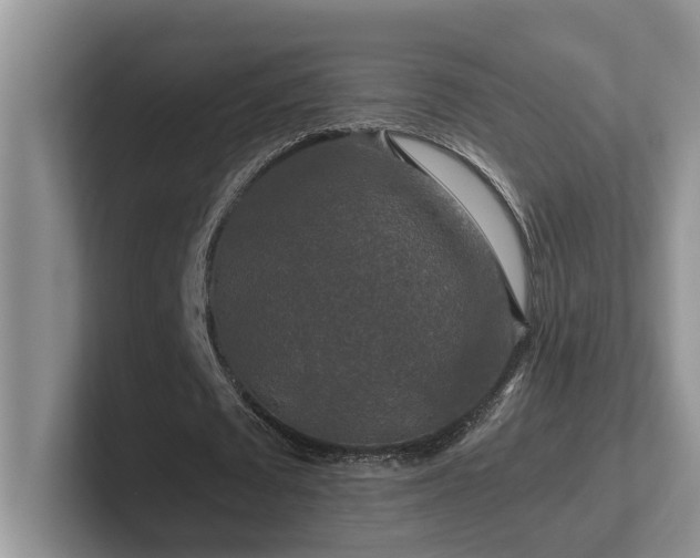 X0000102510673200808081410
