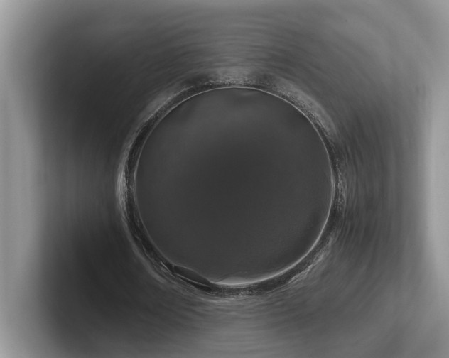 X0000102510674200808081410