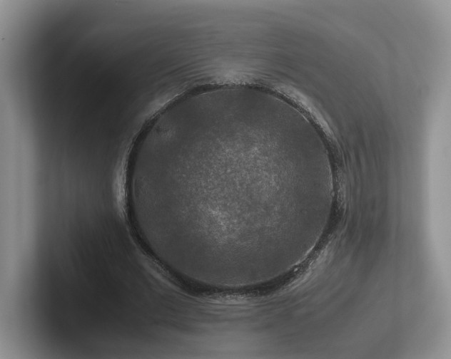 X0000102510677200808081410