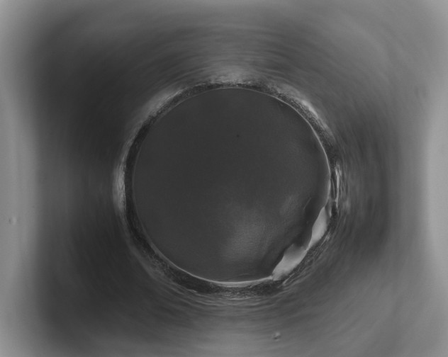 X0000102510678200808081410