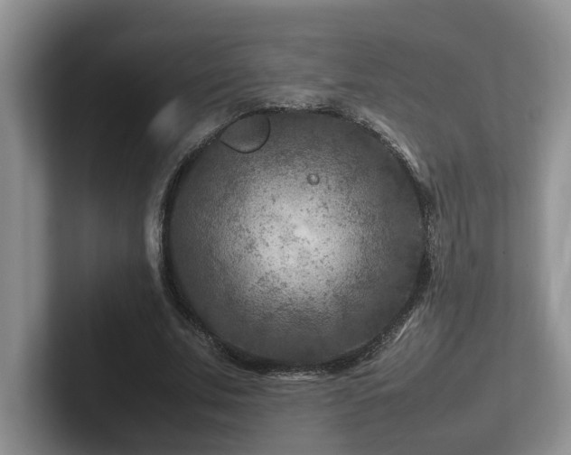 X0000102510679200808081410