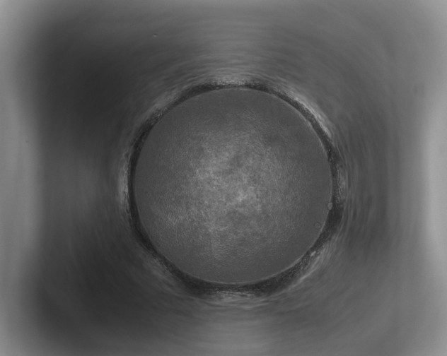 X0000102510681200808081410