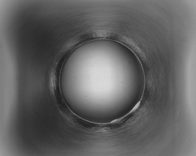 X0000102510683200808081410
