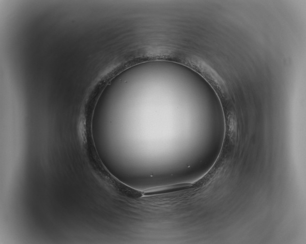 X0000102510684200808081410