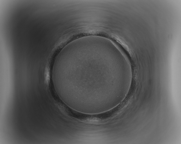X0000102510685200808081410