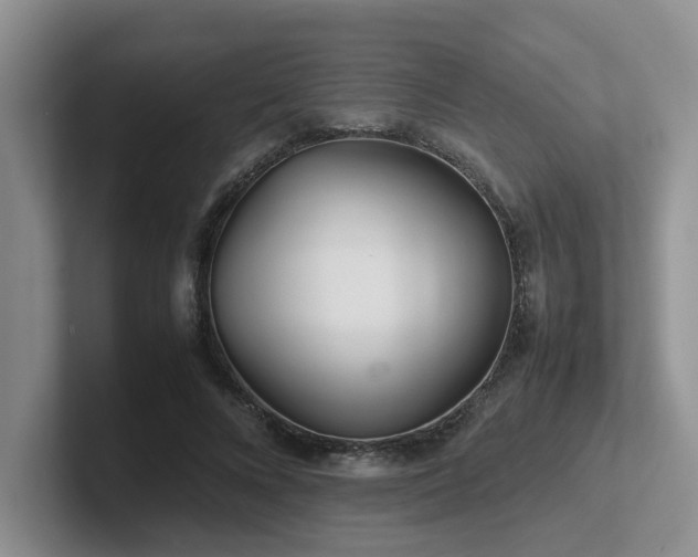 X0000102510688200808081410