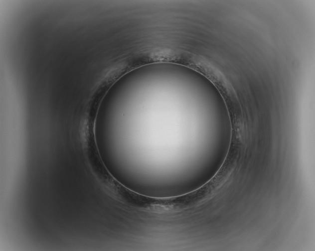 X0000102510690200808081410