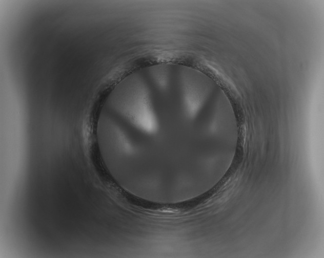 X0000102510691200808081410