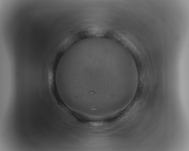 X0000102510693200808081410