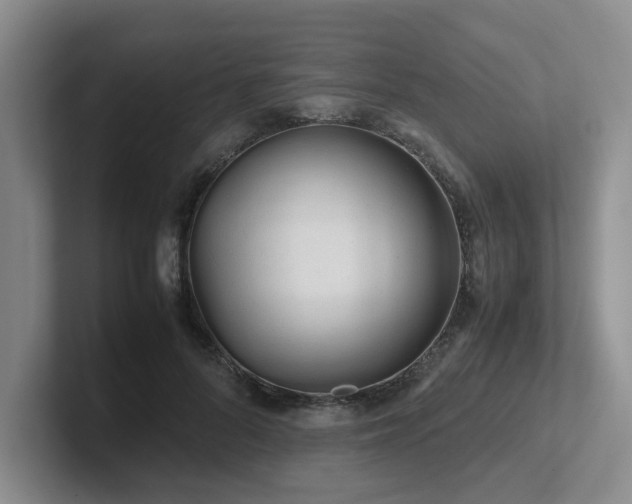 X0000102510696200808081410
