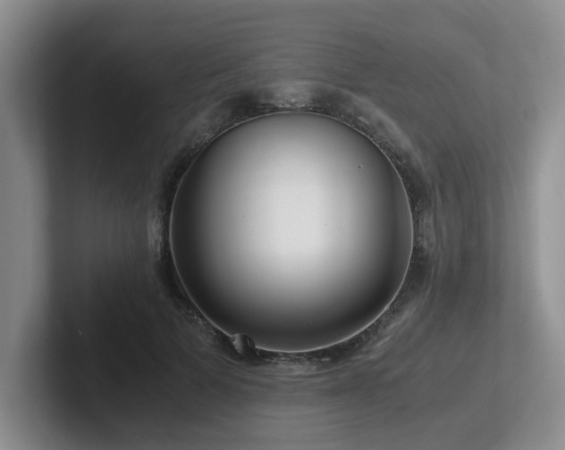 X0000102510697200808081410