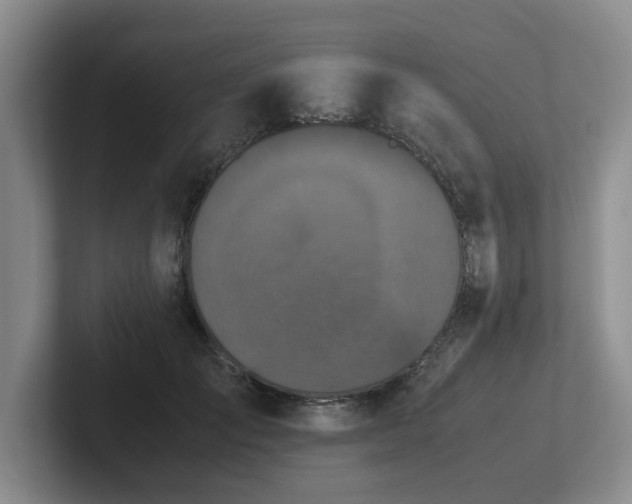 X0000102510701200808081410