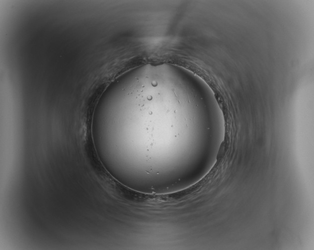 X0000102510703200808081410