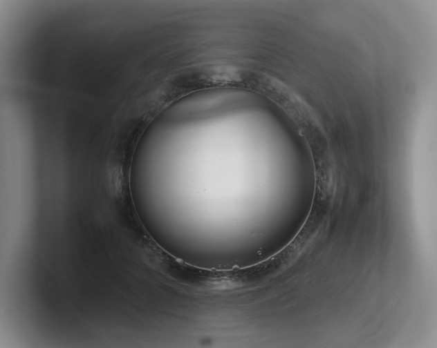 X0000102510704200808081410