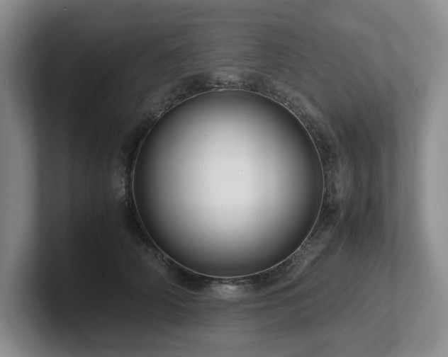 X0000102510706200808081410