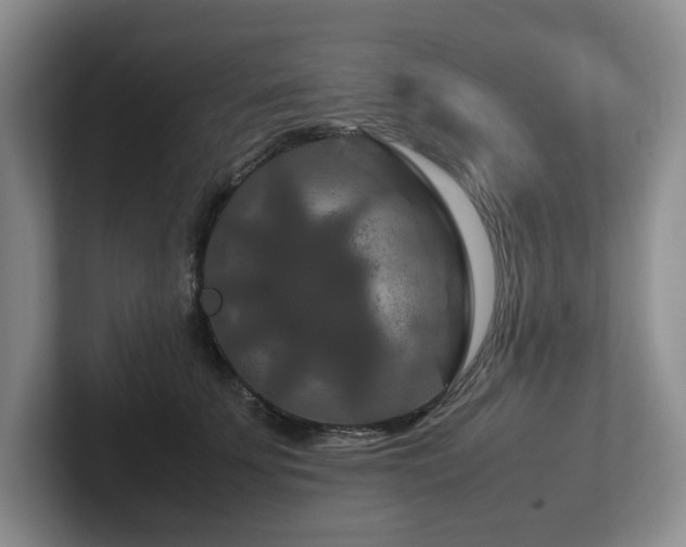 X0000102510707200808081410