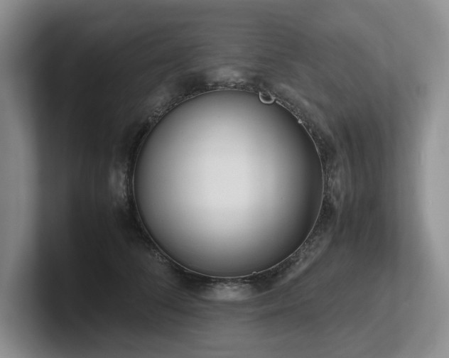 X0000102510708200808081410